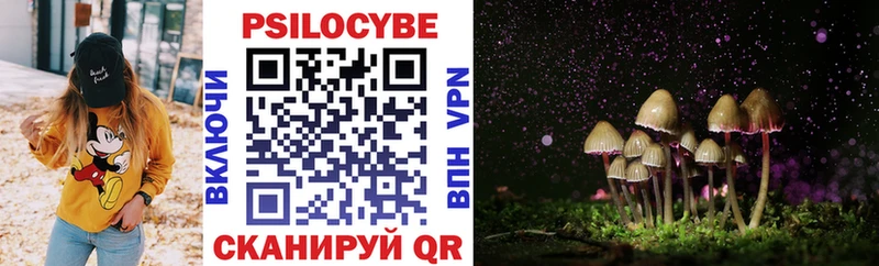 Купить  Суворов  Галлюциногенные грибы прущие грибы 