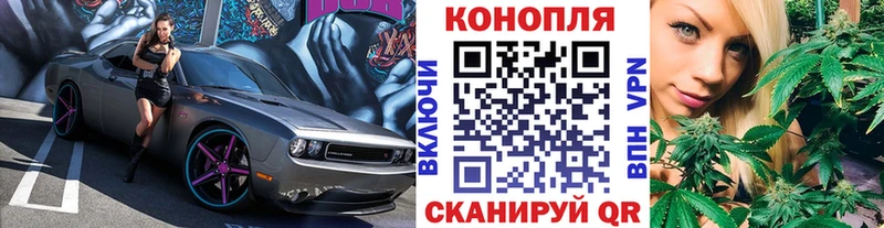 Купить закладки  Суворов  Каннабис Bruce Banner 